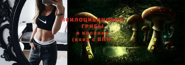 трава Карпинск