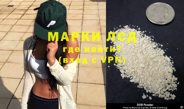 трава Карпинск