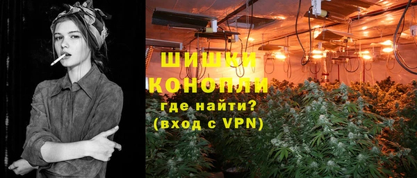 тгк Касимов