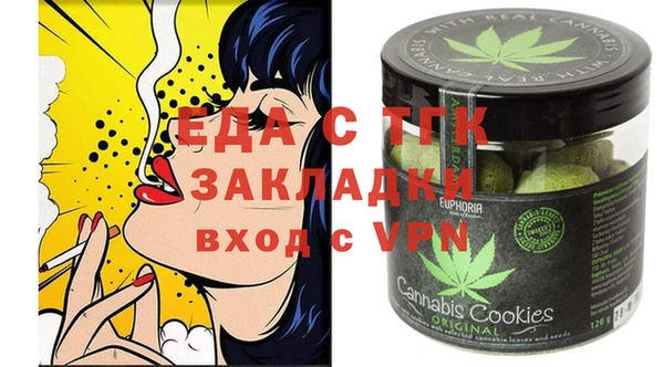 тгк Касимов