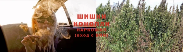 трава Карпинск