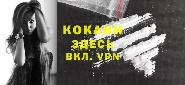тгк Касимов