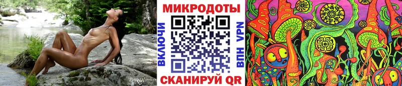 купить закладку  Злынка  Галлюциногенные грибы Psilocybe 